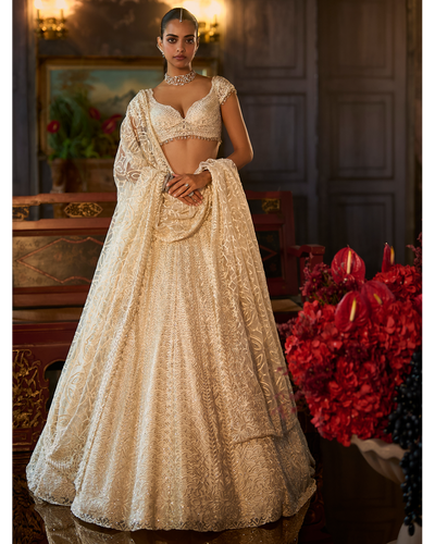 Ivory Crystal Lehenga Set