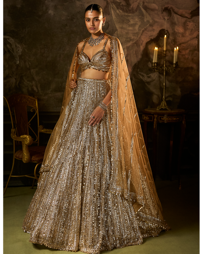 Gold Silver Lehenga Set