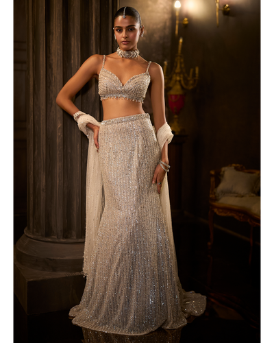 Silver Fit & Flare Trail Skirt Set