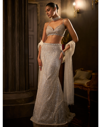 Silver Fit & Flare Trail Skirt Set