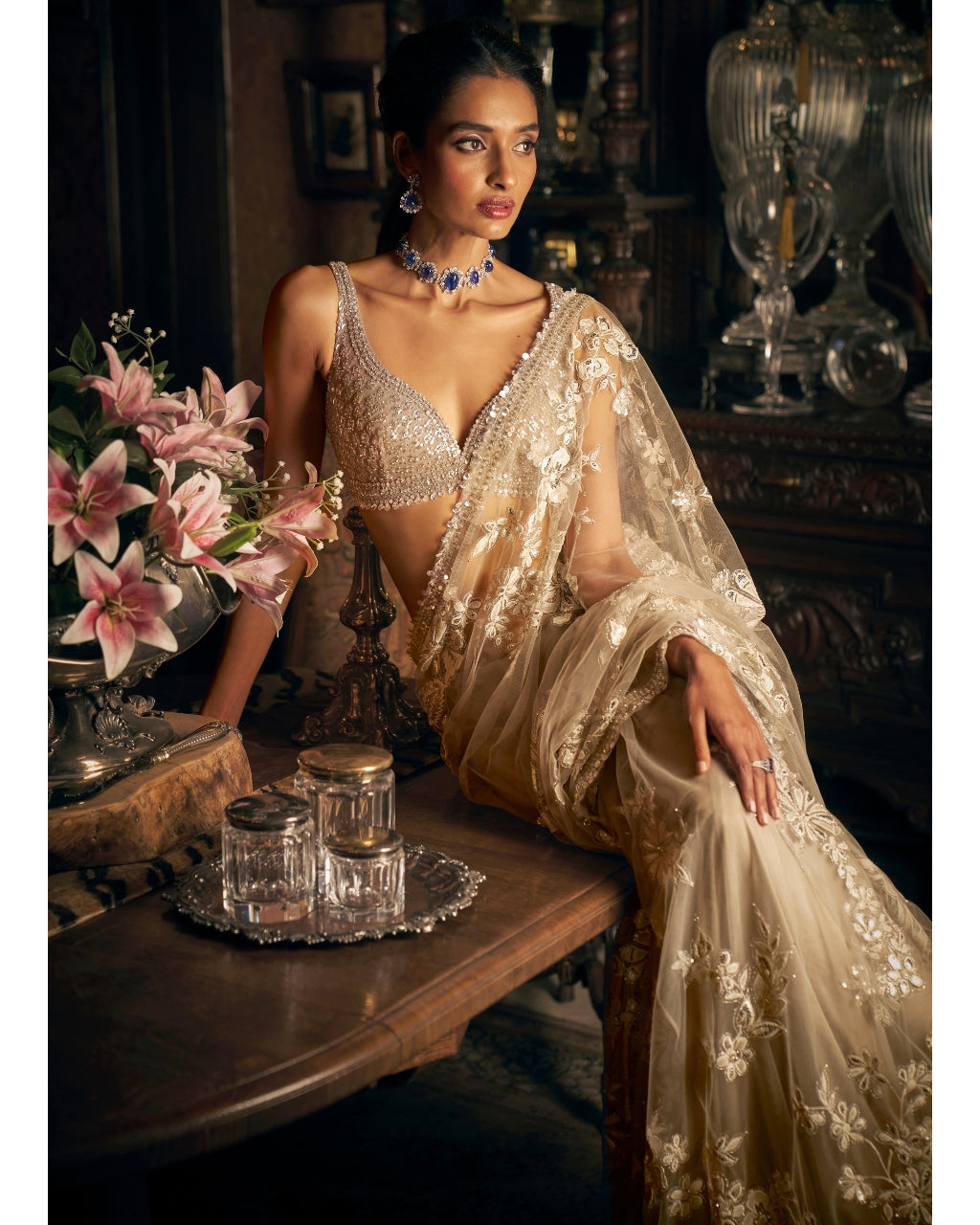 Nude Applique Sari Set