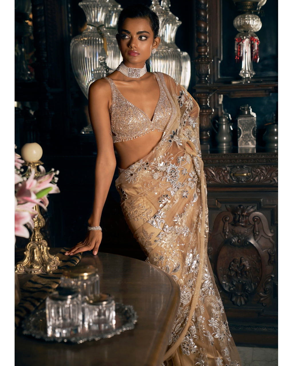 Nude Silver Applique Sari