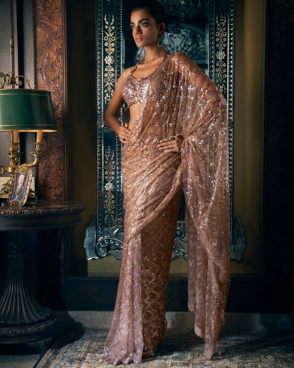 Coffee Brown Sequin Sari