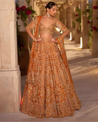 Rust Zardosi Cut Work Lehenga Set