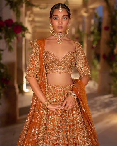 Rust Zardosi Cut Work Lehenga Set