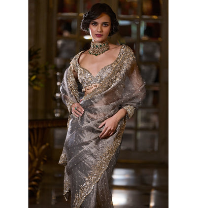 Stone Grey Tissue Organza Sari