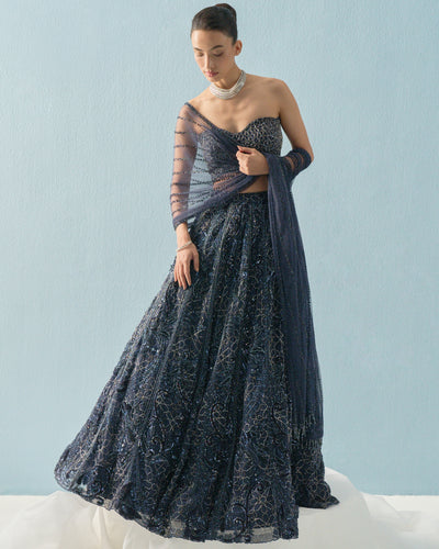 Navy Blue Tulle Lehenga Set