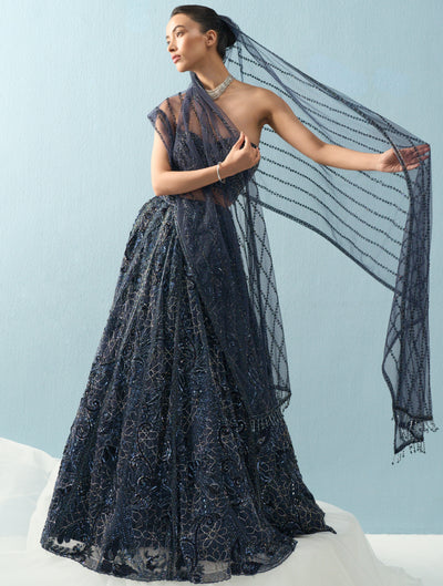 Navy Blue Tulle Lehenga Set