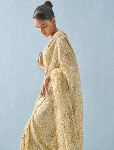 Ivory Georgette Sparkle Sari Set