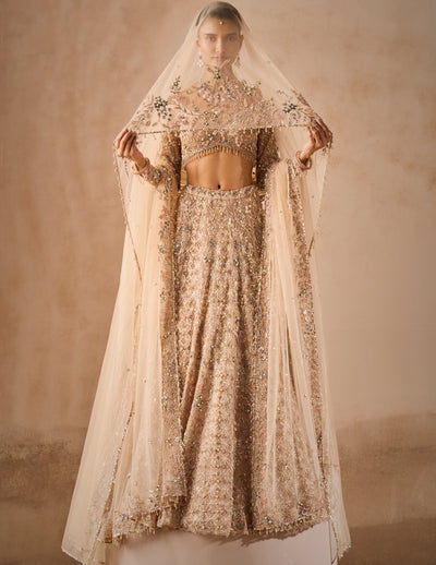Beige Nude Tulle Lehenga Set