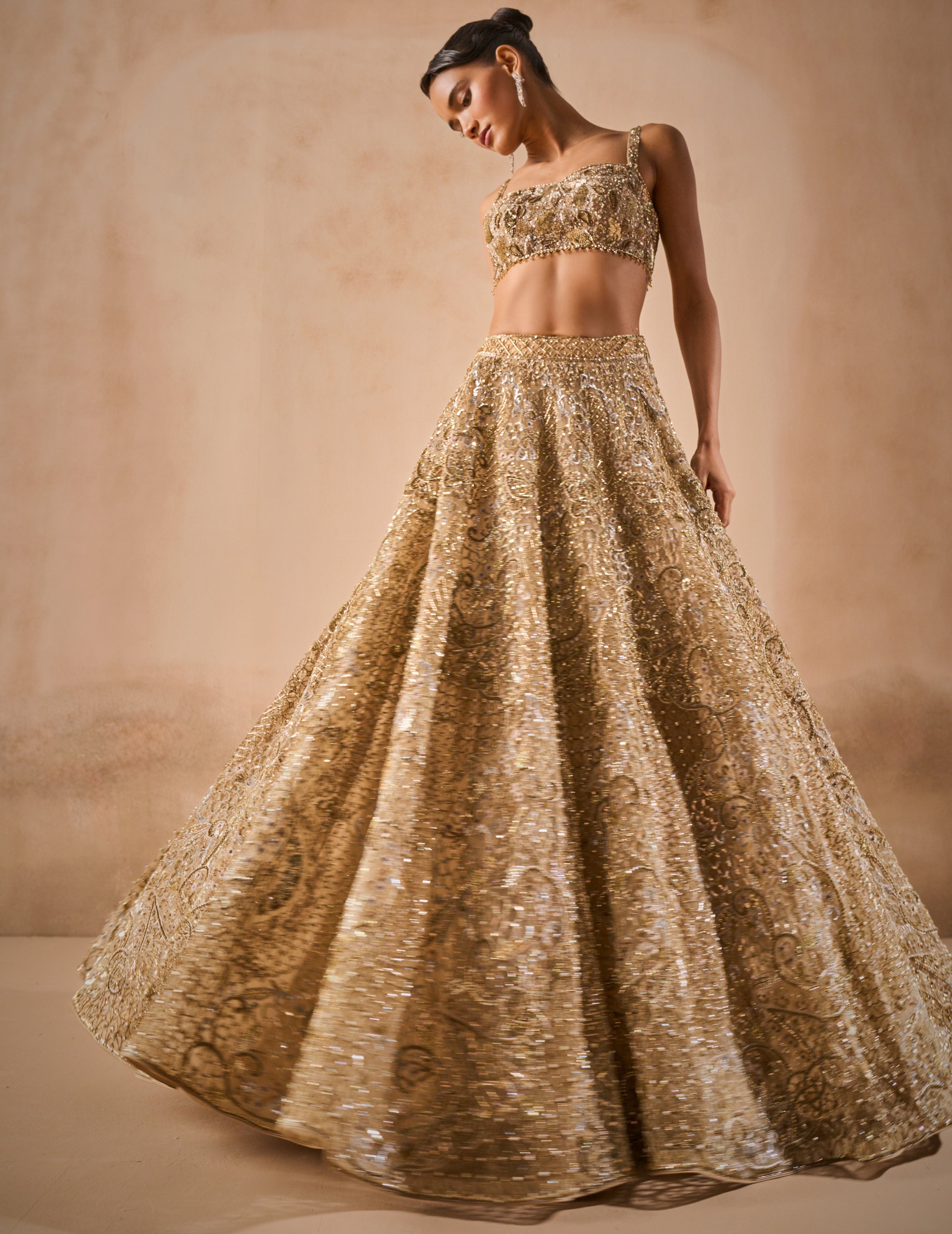 Beige Gold Tulle Sparkle Lehenga Set