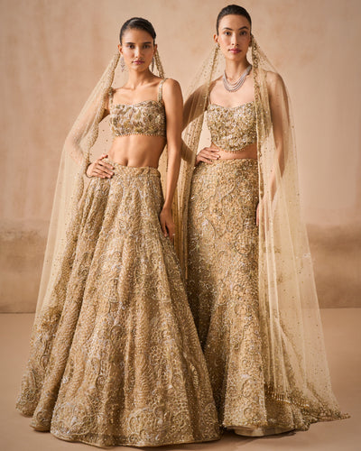 Beige Gold Tulle Sparkle Lehenga Set