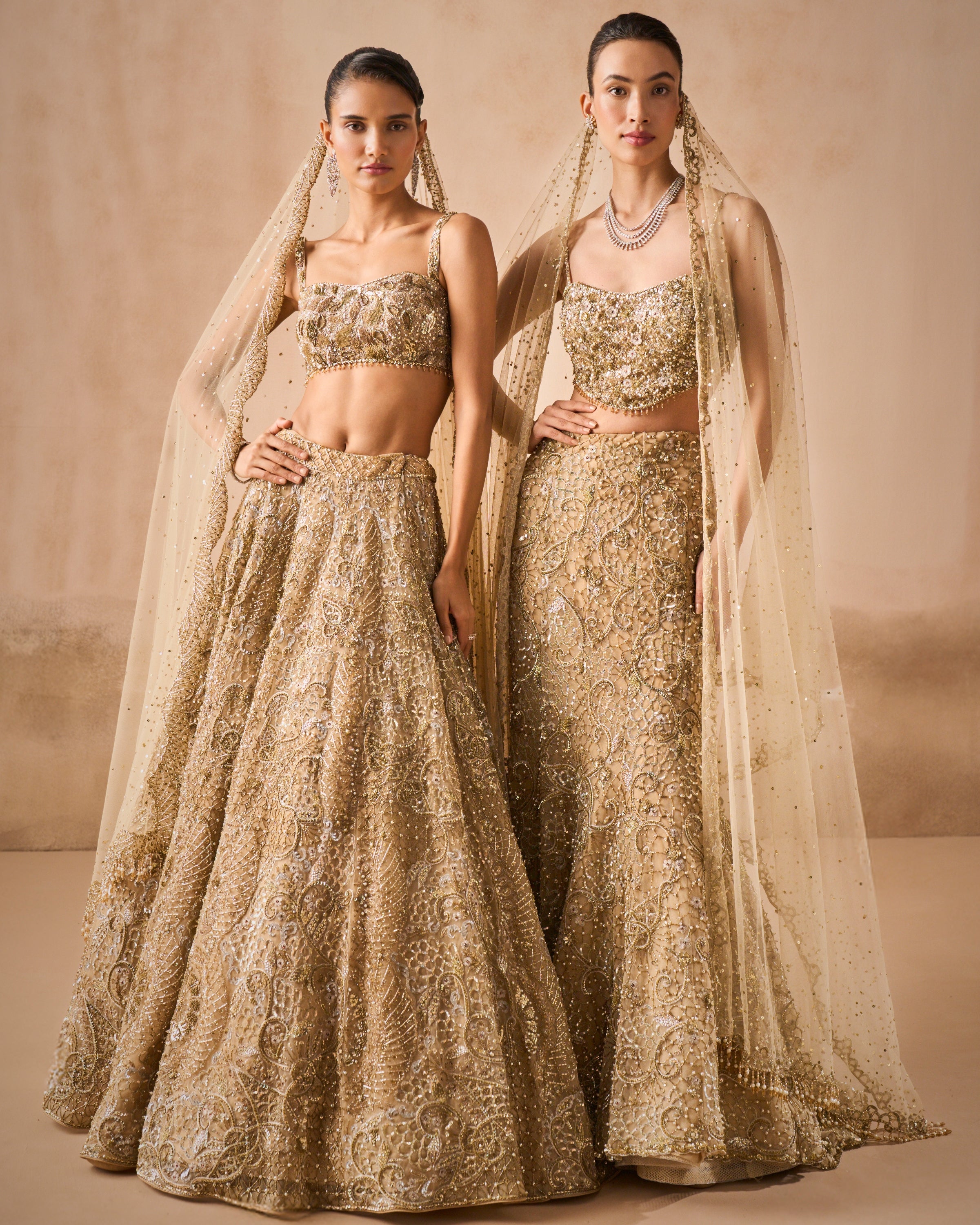 Beige Gold Tulle Sparkle Lehenga Set