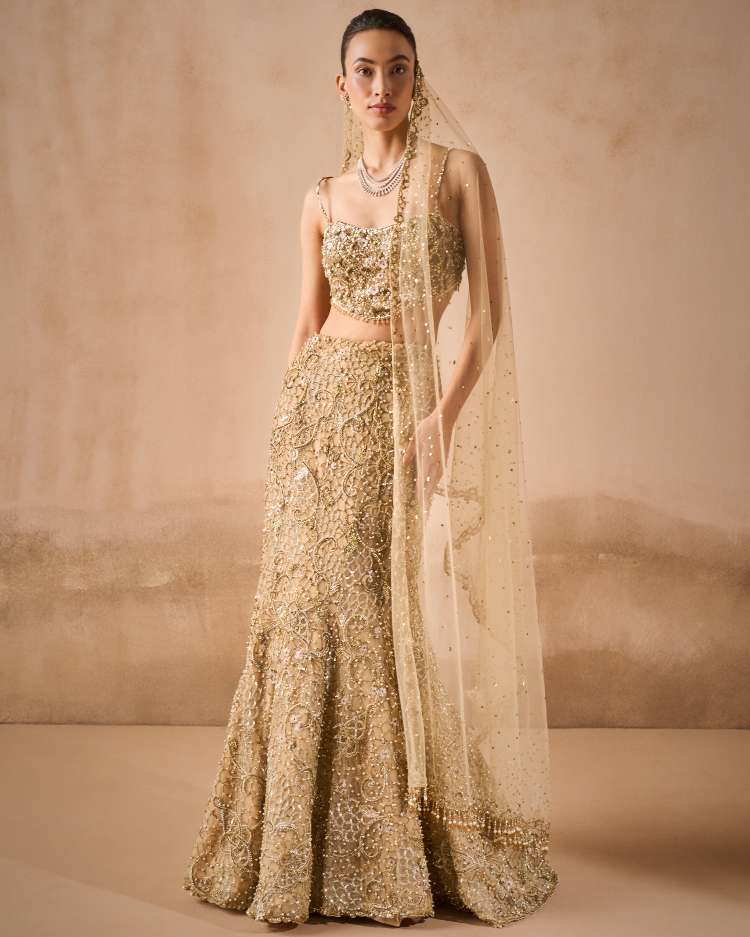 Beige Gold Sparkle Tulle Fit And Flare Lehenga Set