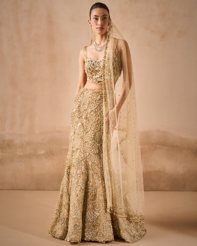 Beige Gold Sparkle Tulle Fit And Flare Lehenga Set