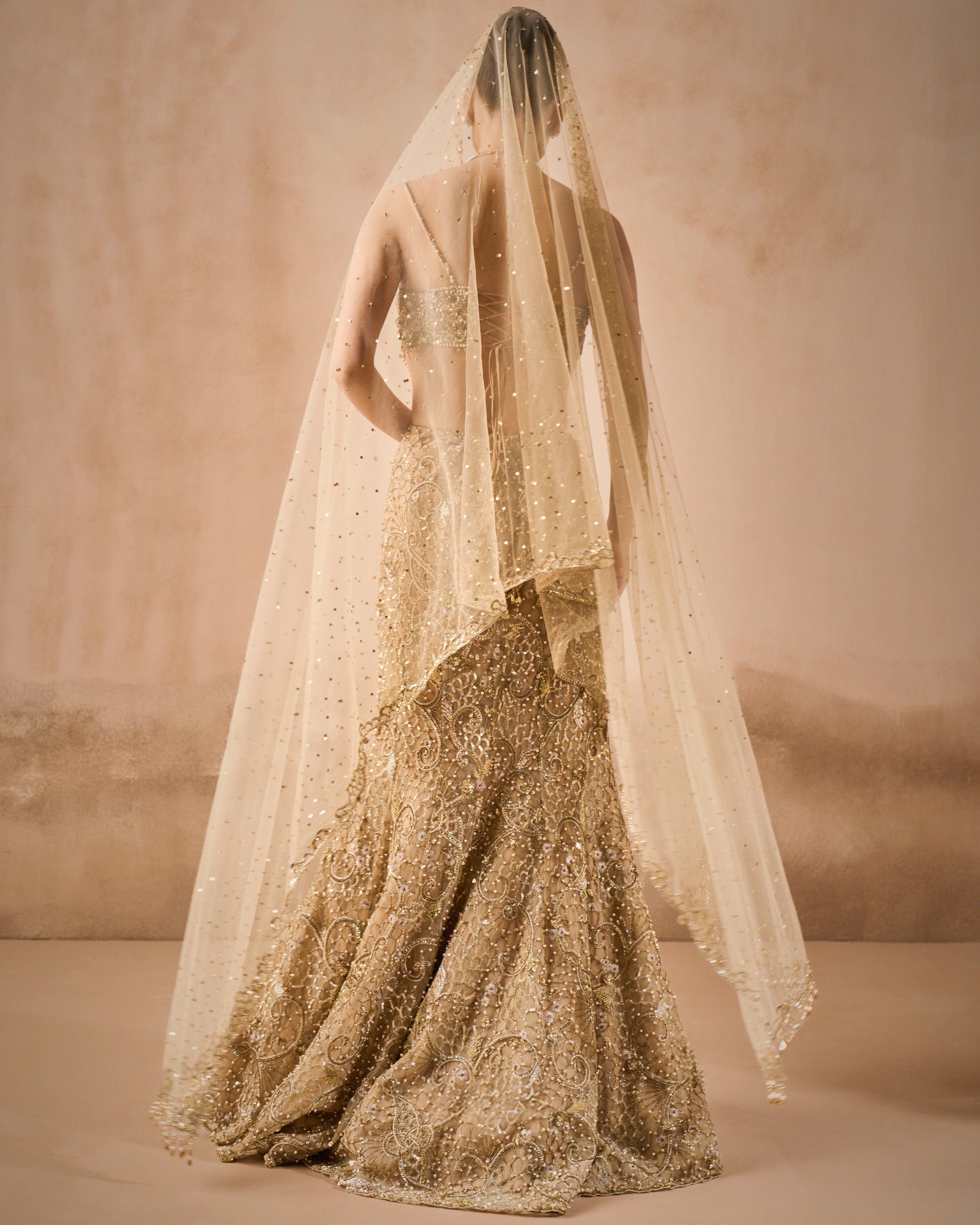 Beige Gold Sparkle Tulle Fit And Flare Lehenga Set