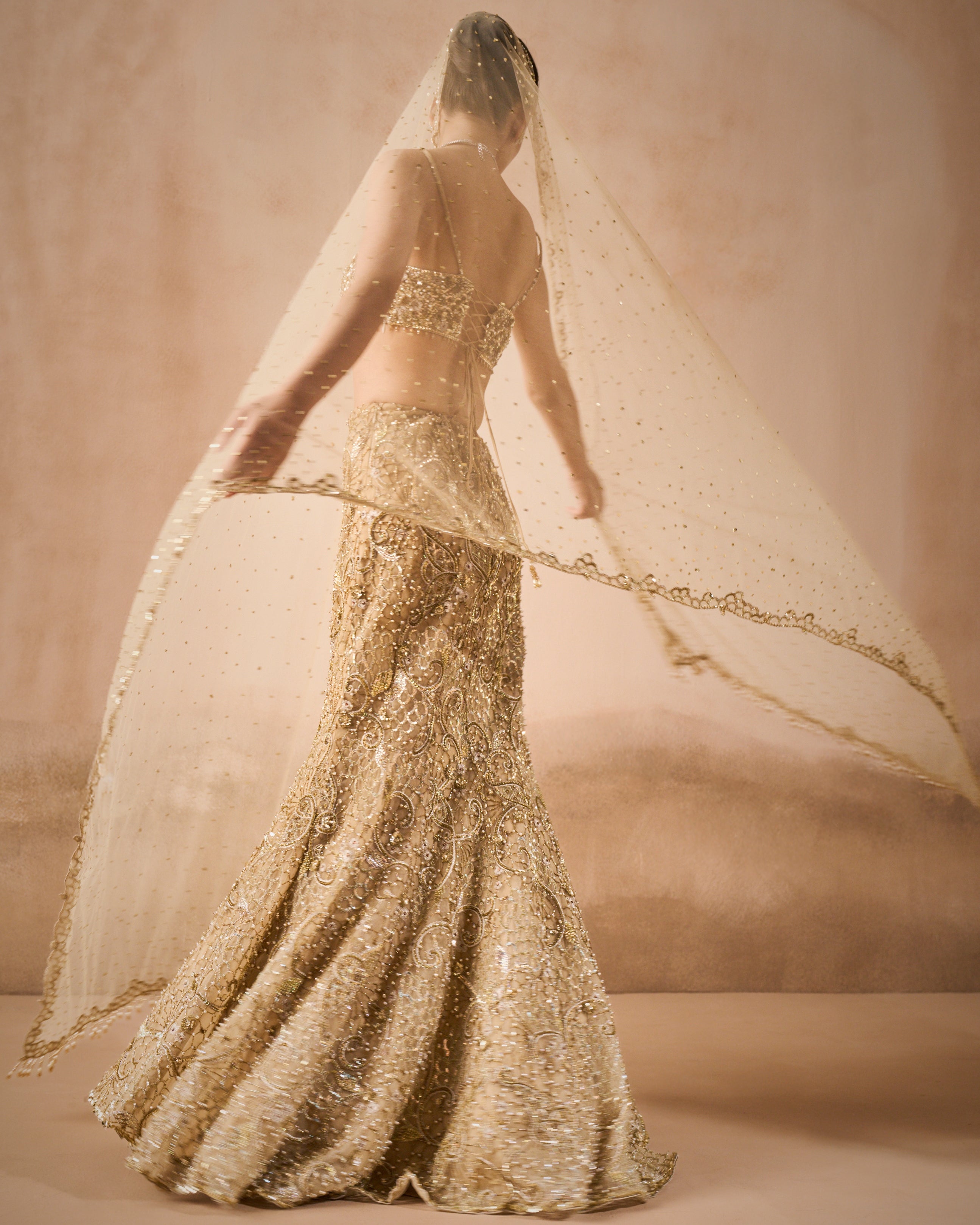 Beige Gold Sparkle Tulle Fit And Flare Lehenga Set