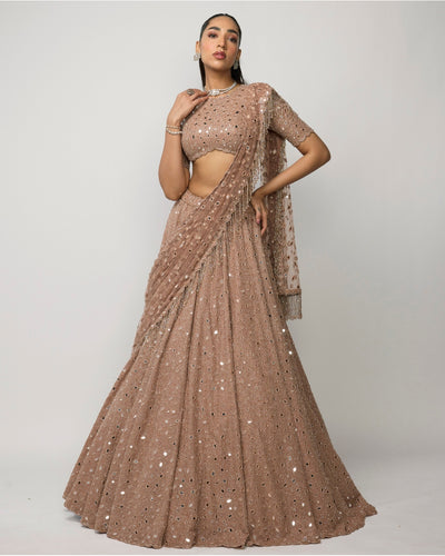 Bronze Rosé Lehenga Set