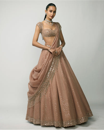 Bronze Rosé Sequins Embroidered Lehenga Set
