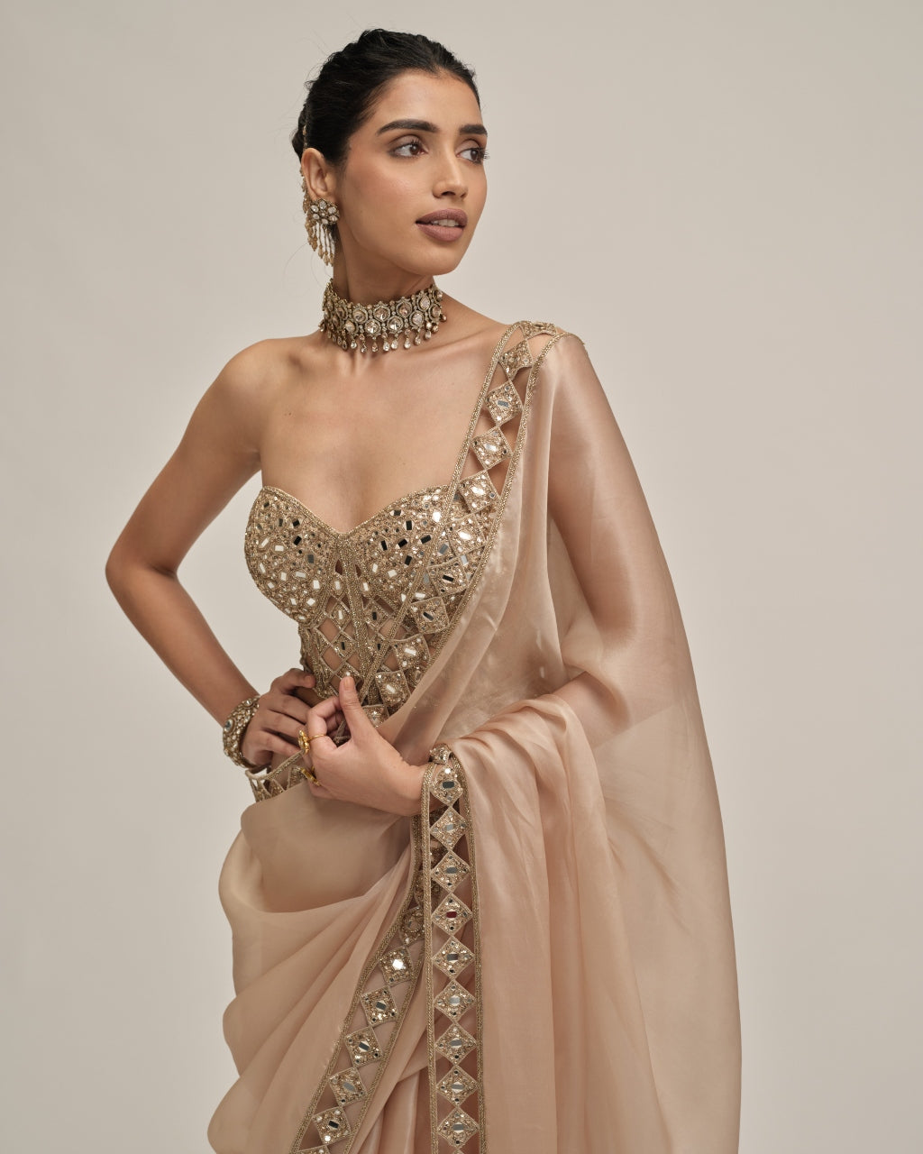 Light Beige Cutwork Border Sari With Corset Set
