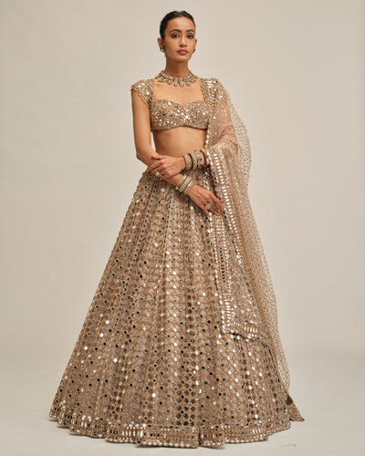 Light Beige Big Mirror Cutwork Lehenga Set