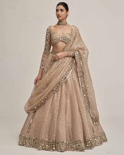 Light Beige Sequins Embroidered Full Sleeves Lehenga Set