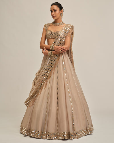 Light Beige Mirror Linear Embroiderd Lehenga Set
