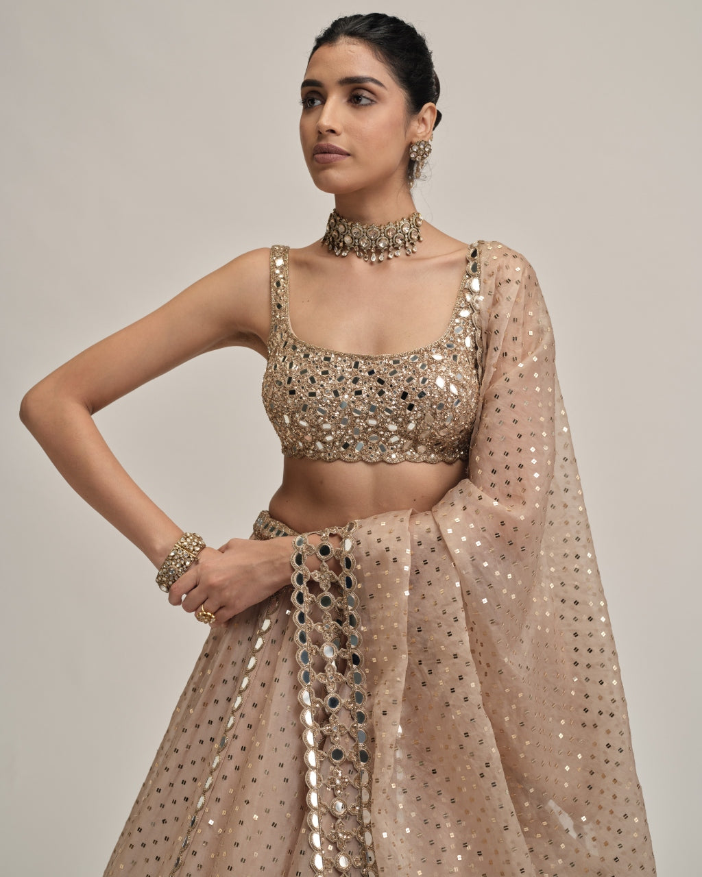 Light Beige Sequins Embroidered Lehenga Set
