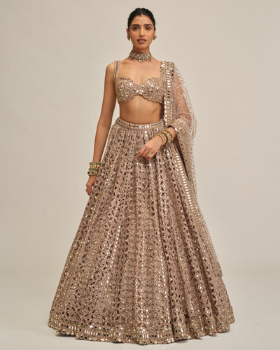 Ash Pink Circular Cutwork Lehenga Set