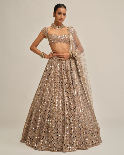 Ash Pink Dense Big Mirror Cutwork Lehenga Set