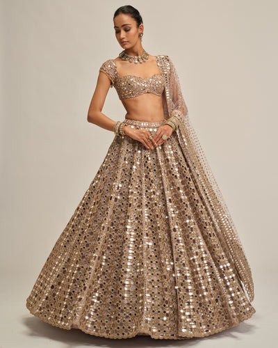 Ash Pink Dense Big Mirror Cutwork Lehenga Set