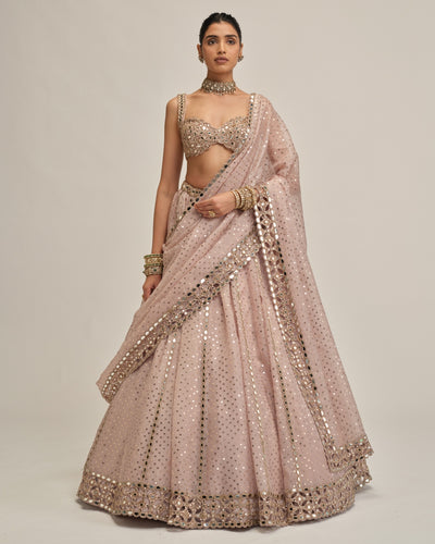 Ash Pink Linear Mirror Sequins Embroidered Lehenga Set
