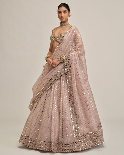 Ash Pink Linear Mirror Sequins Embroidered Lehenga Set