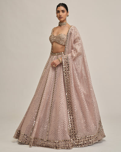 Ash Pink Cutwork Sleeve Lehenga Set