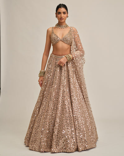 Ash Pink Mirror Embroidered Lehenga Set