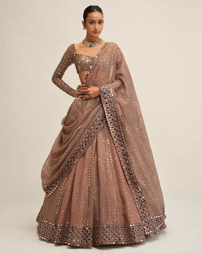 Deep Beige Sequins Embroidered Lehenga Set