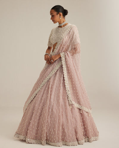 Ash Pink Pearl Drop Lehenga With High Neck Blouse
