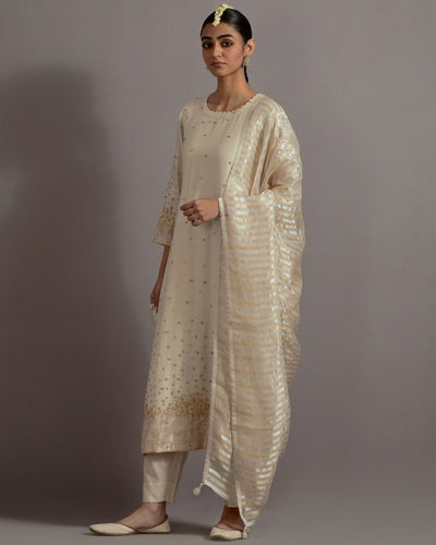 Ivory Tissue Appliqued Straight Kurta Set