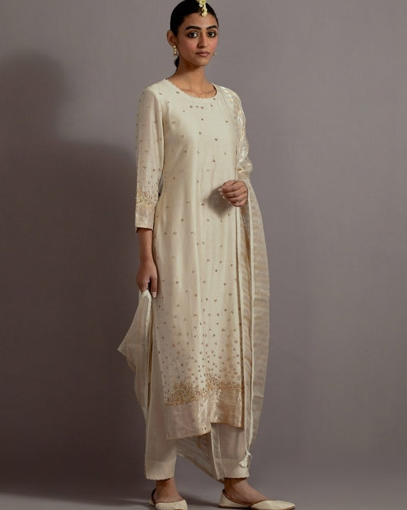 Ivory Tissue Appliqued Straight Kurta Set