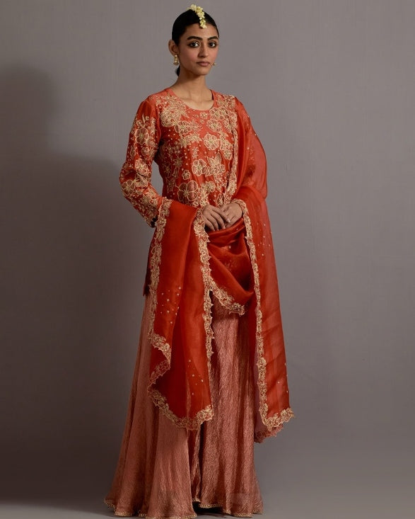 Tangerine Tissue Appliqued Boota Short Kurta Sharara Set