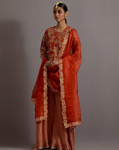Tangerine Tissue Appliqued Boota Short Kurta Sharara Set