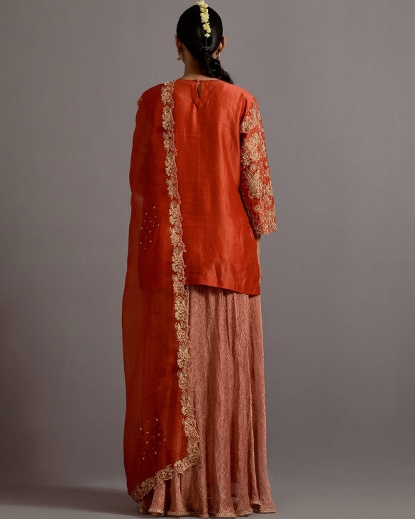 Tangerine Tissue Appliqued Boota Short Kurta Sharara Set