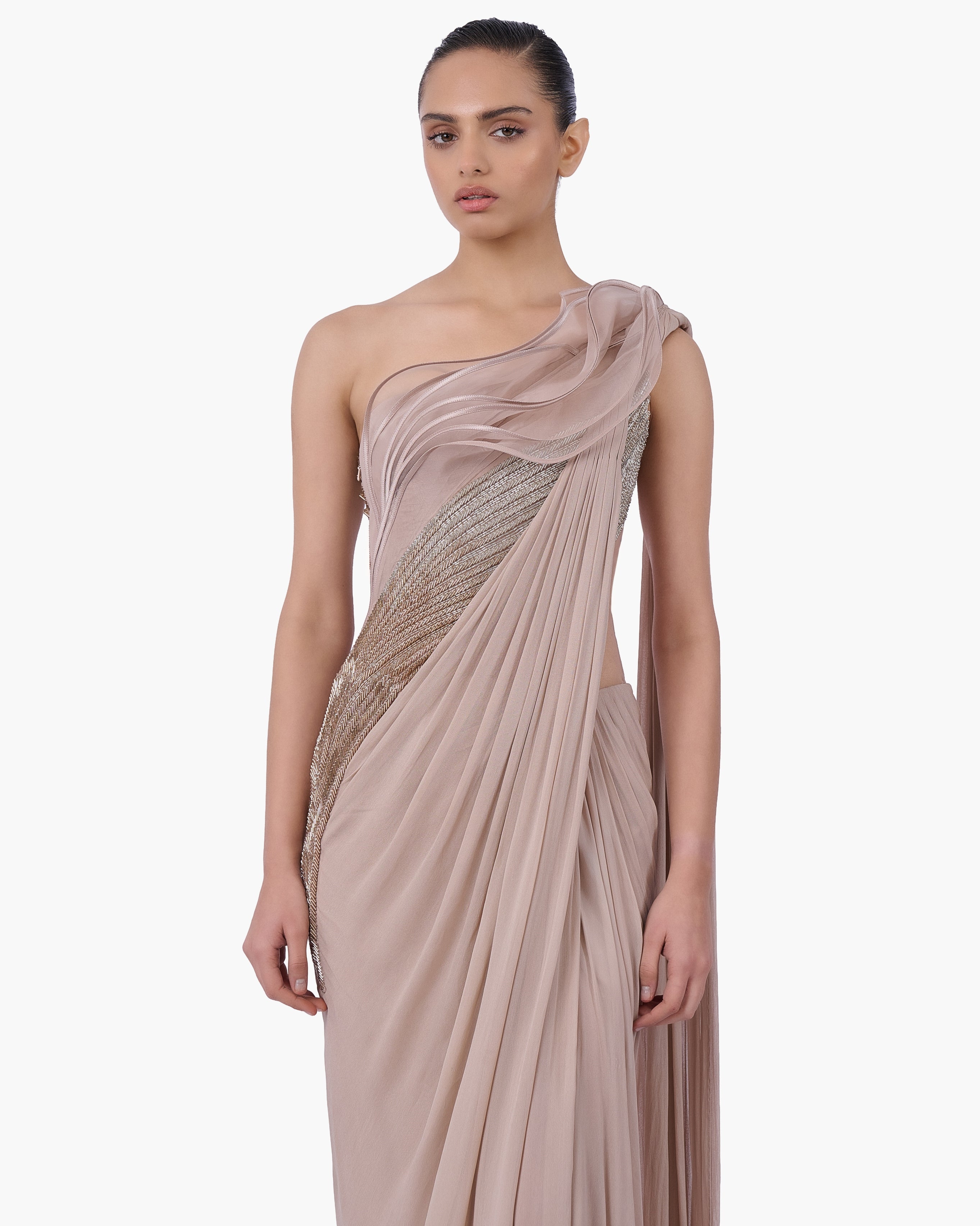 The Champagne Reverie Sari Gown