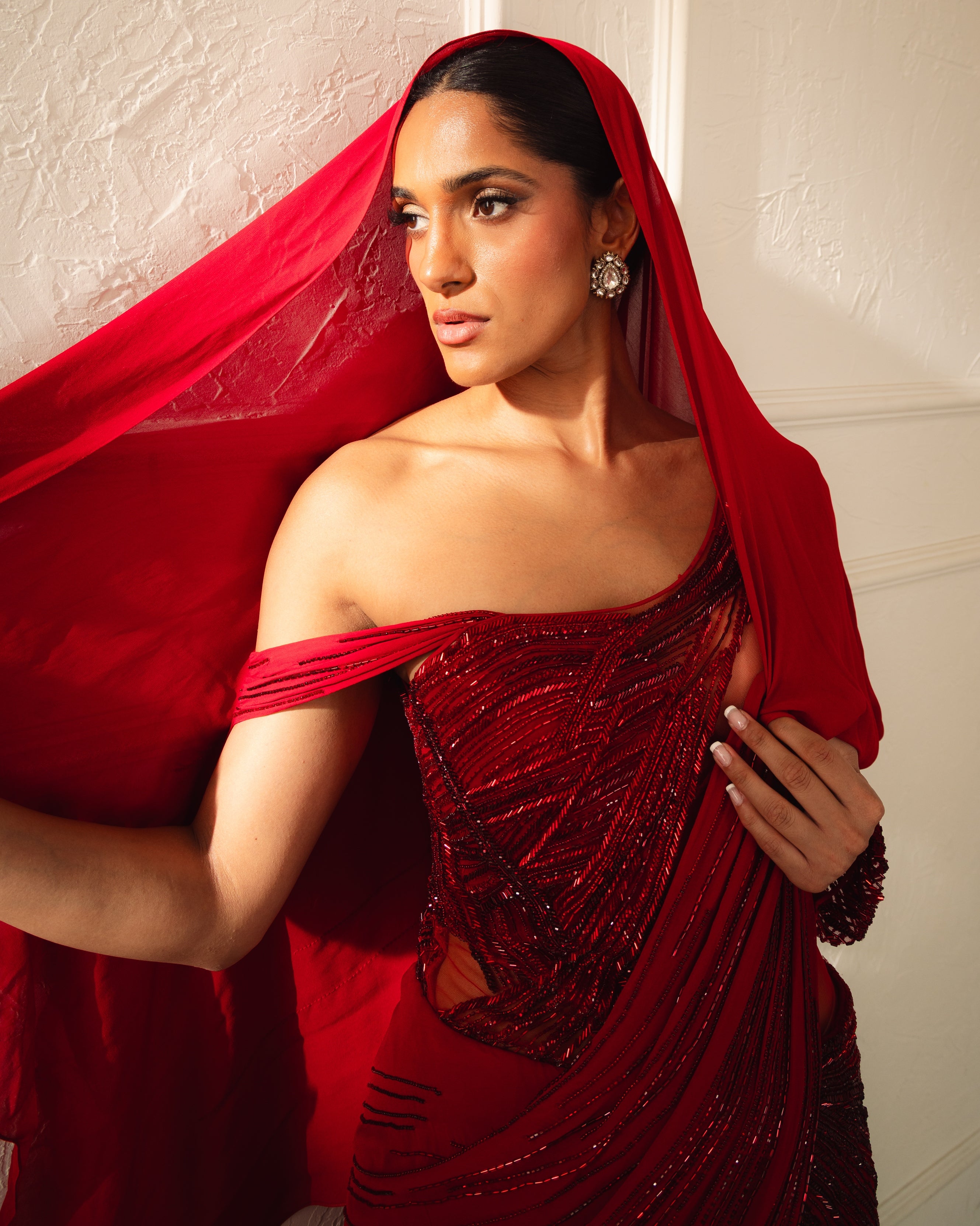 The Ecliptic Sari Gown