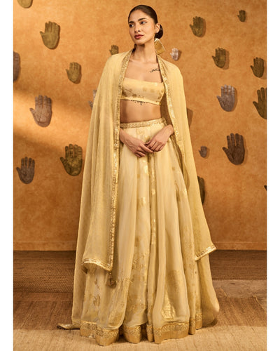 Ivory Sakura Tissue Lehenga Set