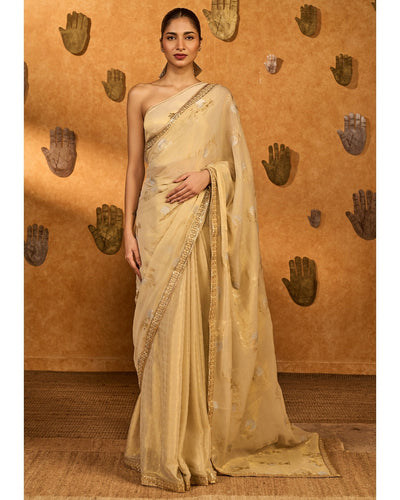 Ivory Moon Garden Tissue Sari Set