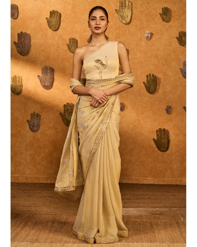 Ivory Moon Garden Tissue Sari Set
