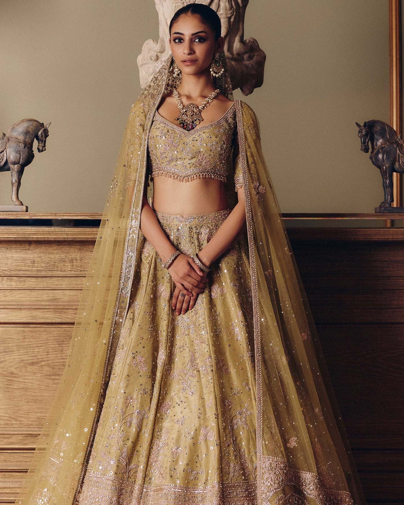 The Royal Masai Landscape Aged Pistachio Tissue Lehenga