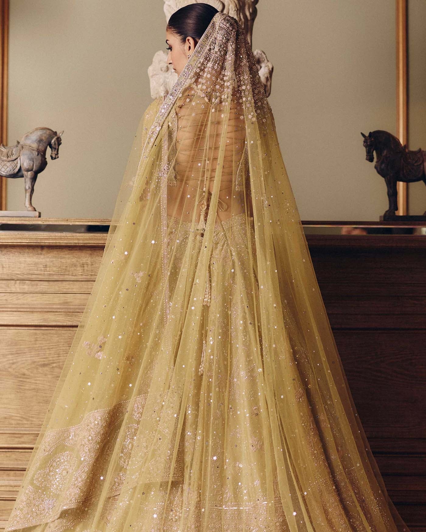 The Royal Masai Landscape Aged Pistachio Tissue Lehenga