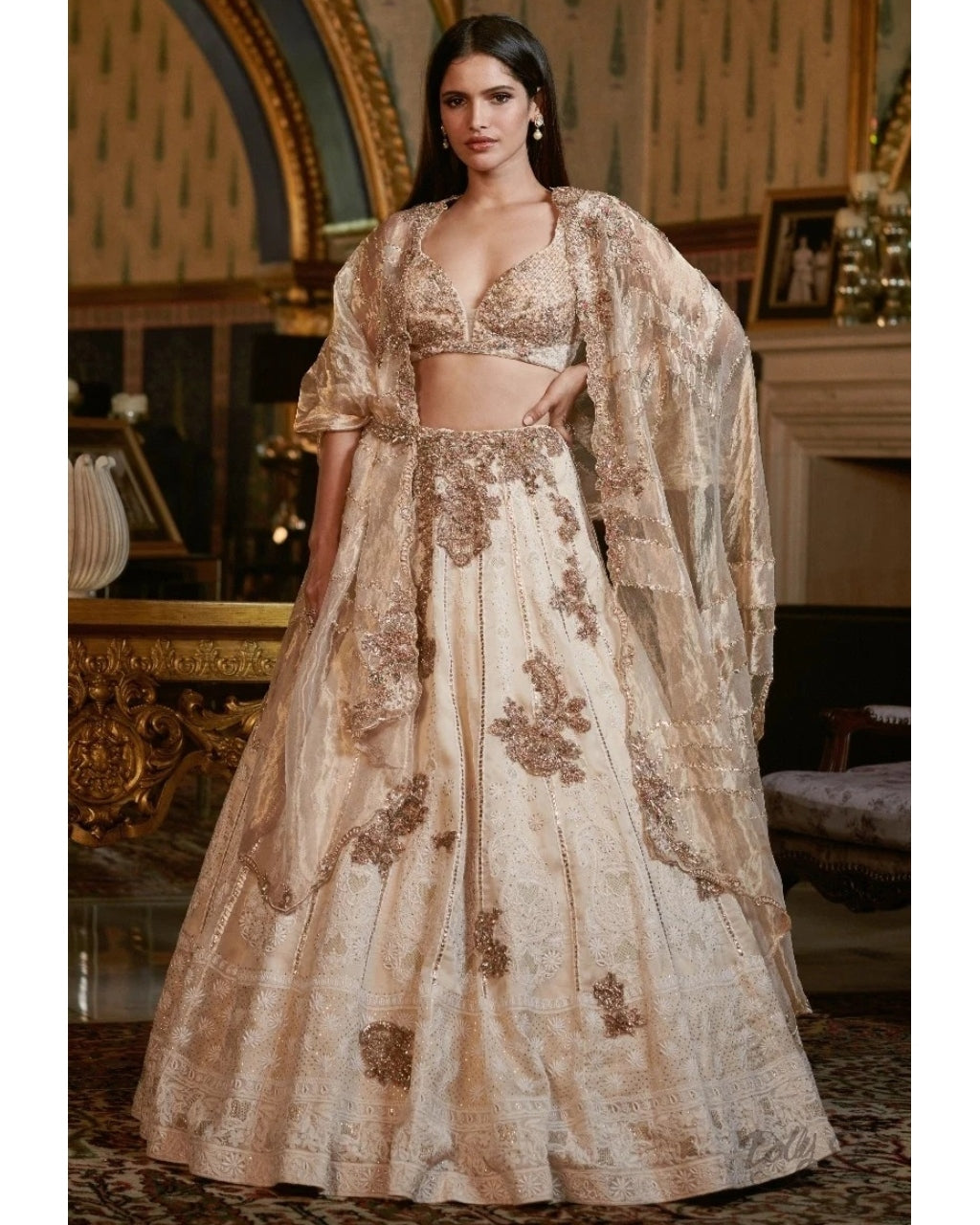 Omaa Chikankari Lehenga Set